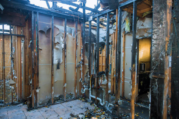 Professional Fire Damage Removal technician working in Parker, TX
